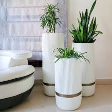 Indoor Planters